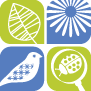 Sneak-a-Peek(prek) @ Nature Discovery Center | Bellaire | Texas | United States
