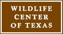 Oiled Wildlife Response Workshop - Corpus Christi @ Corpus Christi | Texas | United States