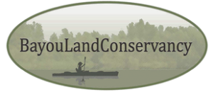 Bayou Land Conservancy Strategic Conservancy Plan meeting