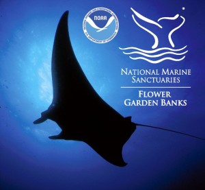 Flower Garden Banks Sanctuary Advisory Council meeting @ NOAA's Flower Garden Banks Sanctuary | Galveston | Texas | United States