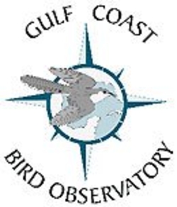 Gulf Coast Young Ornithologists @ Gulf Coast Bird Observatory | Lake Jackson | Texas | United States