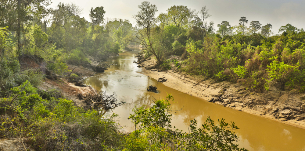 New member welcome: Save Buffalo Bayou New member welcome: Save Buffalo Bayou