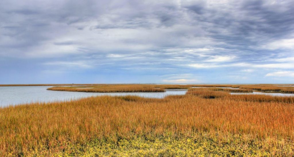 Houston Environmental News Update September 12, 2018 Houston Environmental News Update September 12, 2018