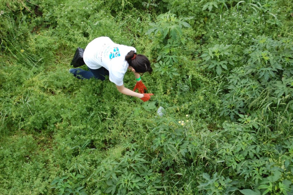 Houston Environmental News Update March 27, 2019