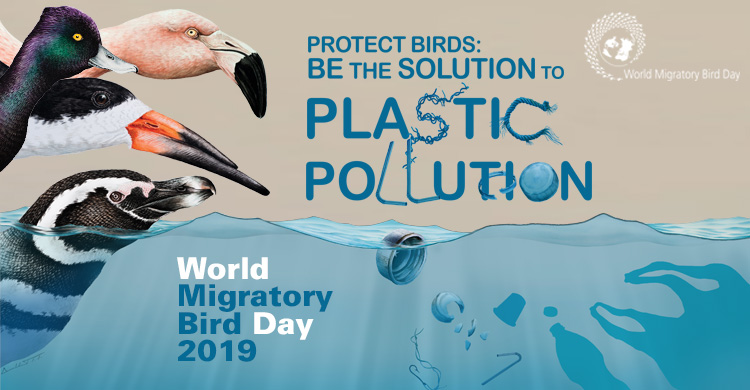 Houston Environmental News Update May 8, 2019 Houston Environmental News Update May 8, 2019