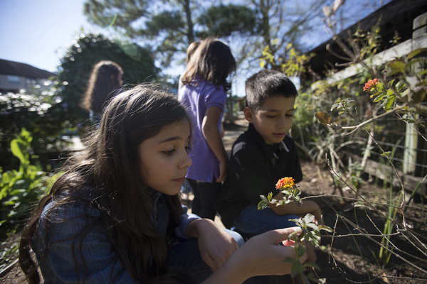 Houston Environmental News Update May 22, 2019 Houston Environmental News Update May 22, 2019