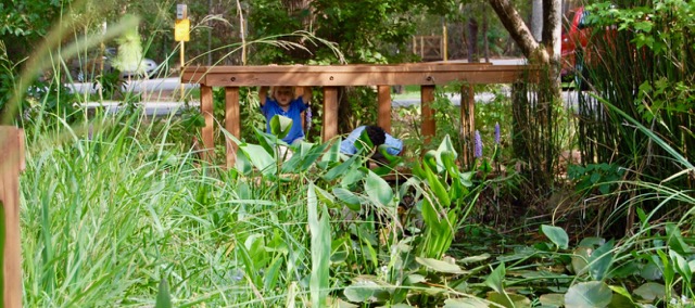 Houston Environmental News Update August 21, 2019 Houston Environmental News Update August 21, 2019