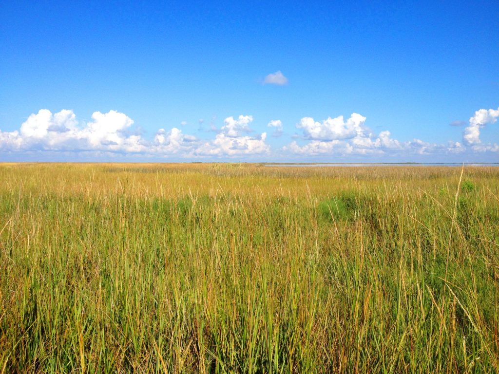 Houston Environmental News Update August 14, 2019 Houston Environmental News Update August 14, 2019