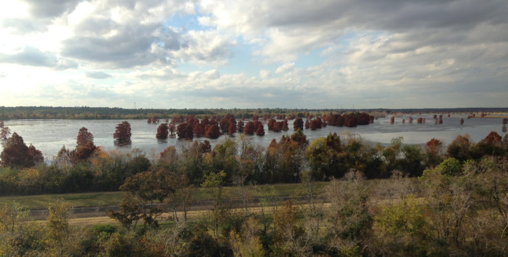Houston Environmental News Update December 9, 2020 Houston Environmental News Update December 9, 2020