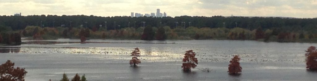 Houston Environmental News Update November 20, 2019