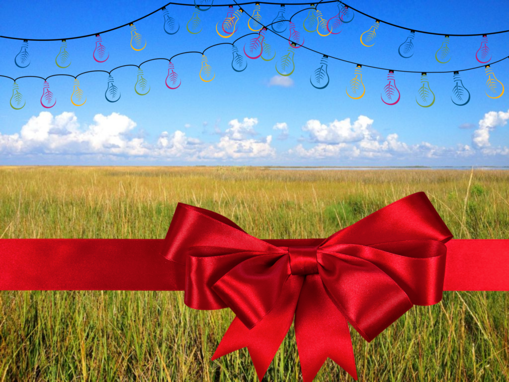 Houston Environmental News Update December 23, 2020