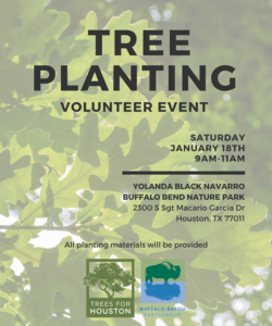 First Tree Planting @ Yolanda Black Navarro buffalo Bend Nature Park | Houston | Texas | United States