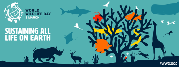 Houston Environmental News Update February 26, 2020