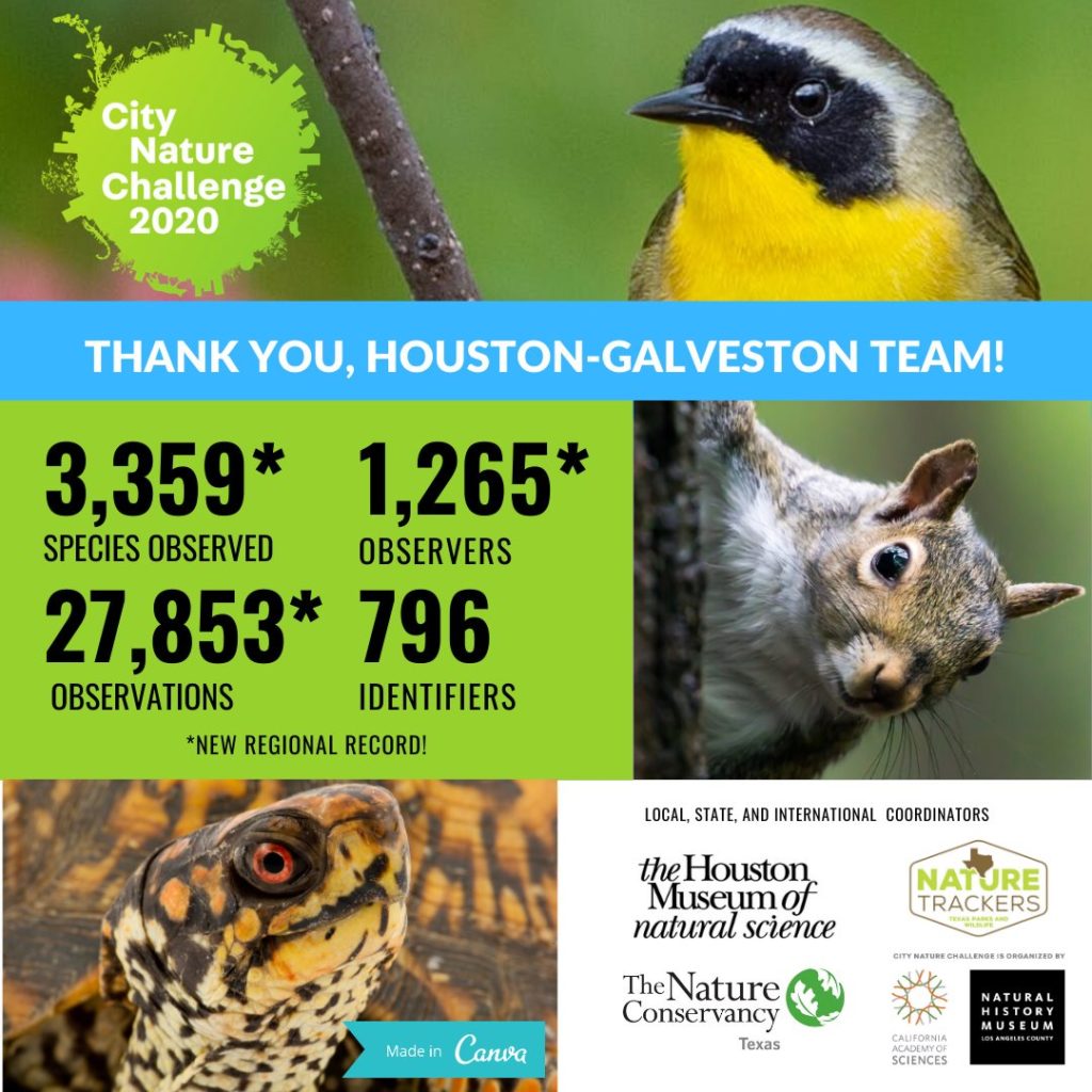 Houston Environmental News Update May 27, 2020