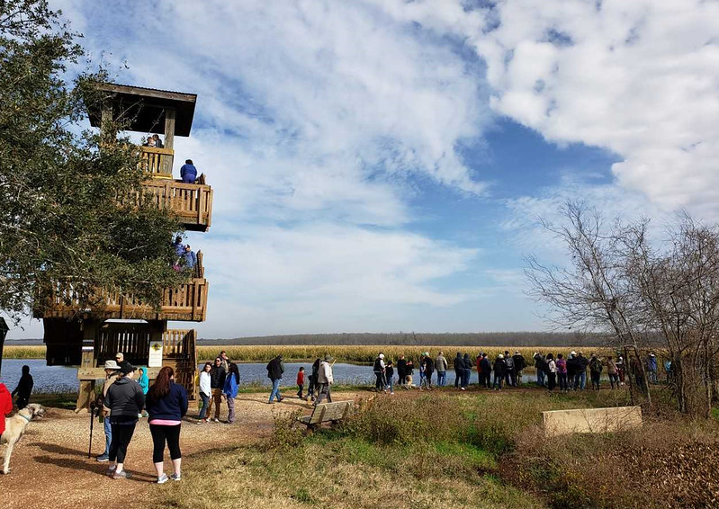 Houston Environmental News Update December 30, 2020 Houston Environmental News Update December 30, 2020