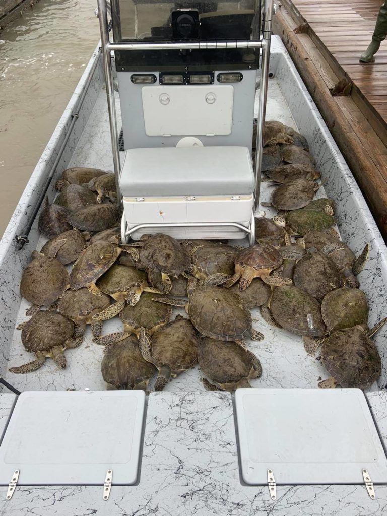 Houston Environmental News Update February 17, 2021