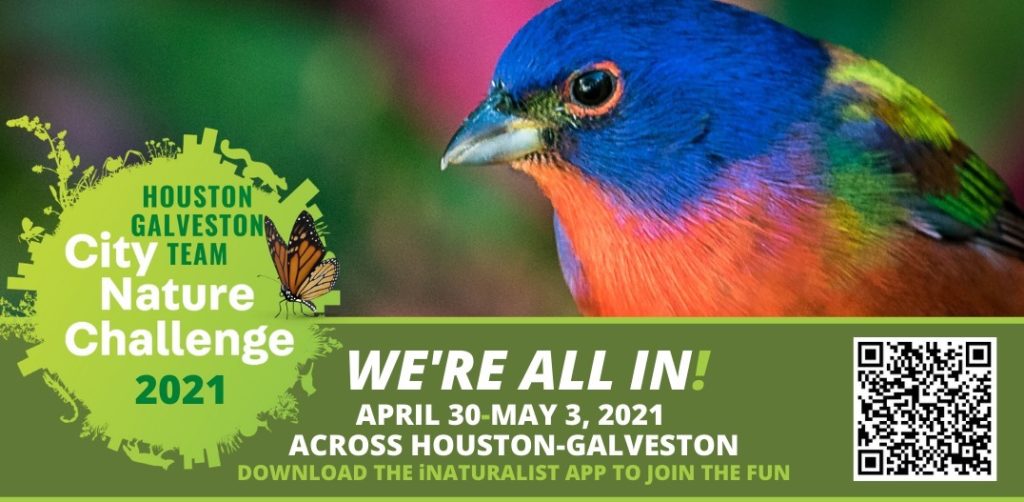 Houston Environmental News Update April 28, 2021