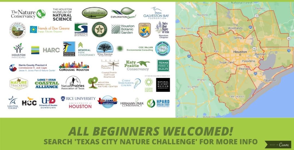 This image has an empty alt attribute; its file name is 2021-City-Nature-Challenge-We-are-all-in-partners-1024x522.jpeg