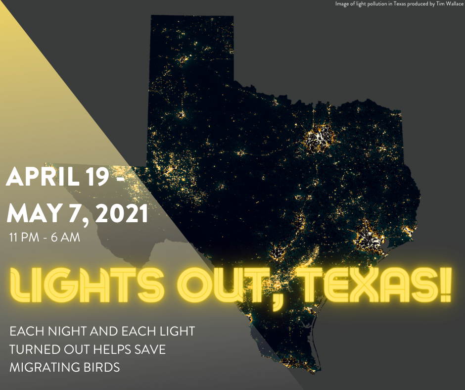 This image has an empty alt attribute; its file name is Lights.png