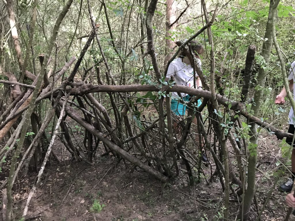 Houston Environmental News Update May 26, 2021 Houston Environmental News Update May 26, 2021
