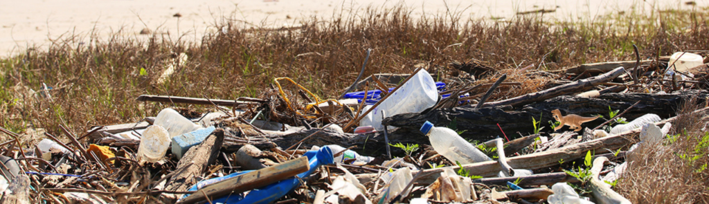 Houston Environmental News Update May 19, 2021 Houston Environmental News Update May 19, 2021