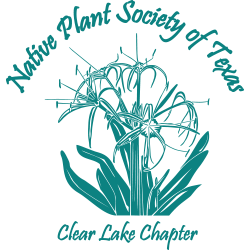 Clear Lake Chapter NPSOT June Meeting @ Online