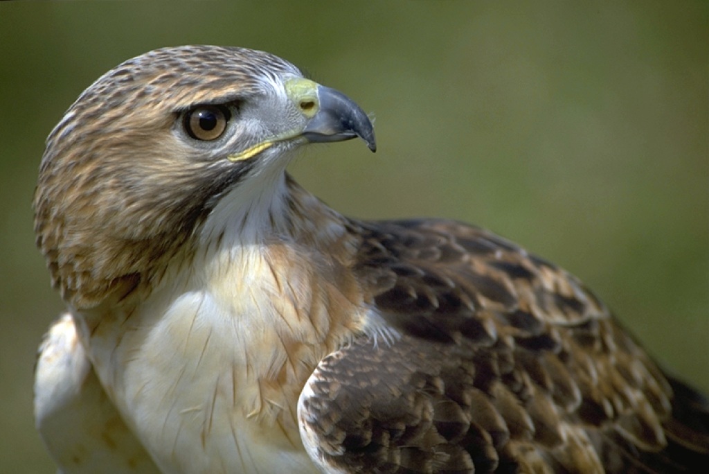 Houston Environmental News Update June 9, 2021 Houston Environmental News Update June 9, 2021