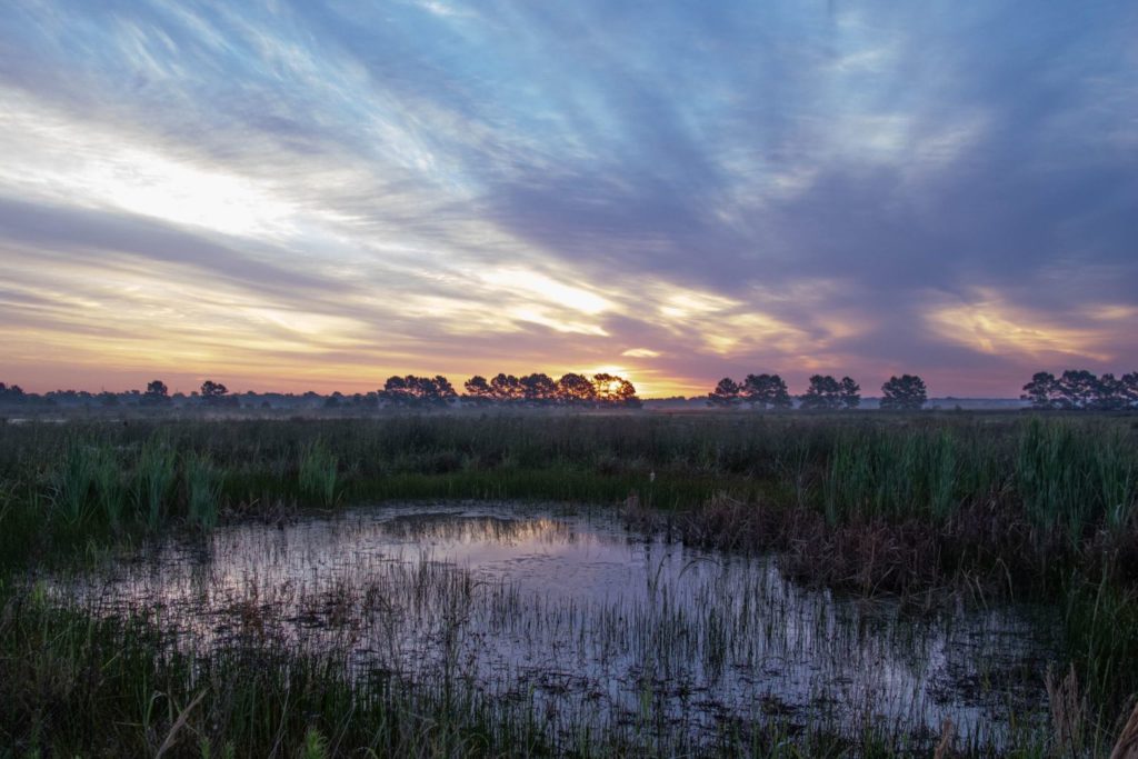 Prairie Pothole at Indiangrass - Jaime Gonzalez