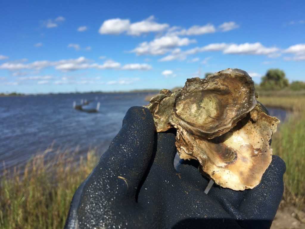 Houston Environmental News Update August 4, 2021 Houston Environmental News Update August 4, 2021