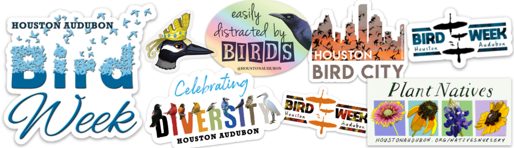 Houston Environmental News Update September 15, 2021 Houston Environmental News Update September 15, 2021