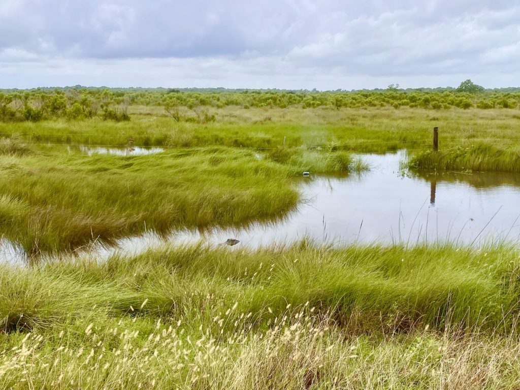 Houston Environmental News Update October 6, 2021 Houston Environmental News Update October 6, 2021