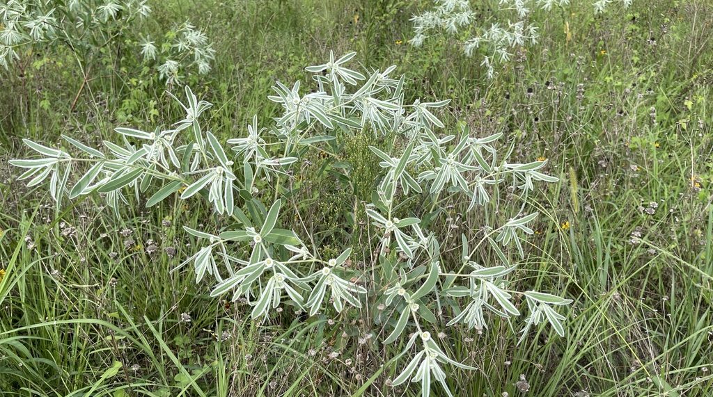 Houston Environmental News Update December 22, 2021 Houston Environmental News Update December 22, 2021
