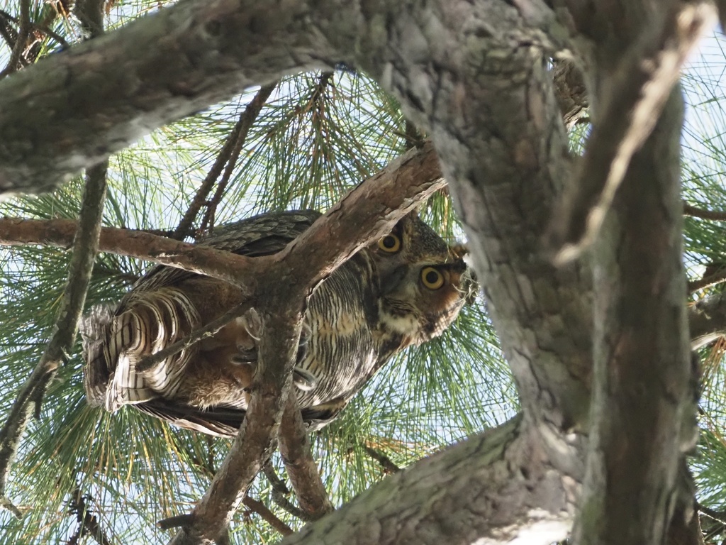 Houston Environmental News Update January 5, 2022 Houston Environmental News Update January 5, 2022