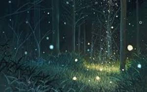 Guided Firefly Hike & Prayer with Eyes Wide Open @ Armand Bayou Nature Center | Pasadena | Texas | United States