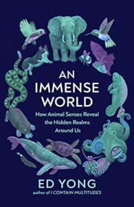 Immense World Book Discussion Group for the Season of Creation @ online