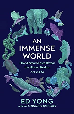 Immense World Book Discussion Group for the Season of Creation Immense World Book Discussion Group for the Season of Creation