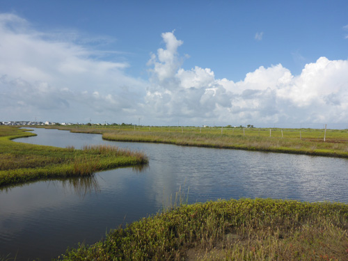 Houston Environmental News Update September 21, 2022 Houston Environmental News Update September 21, 2022