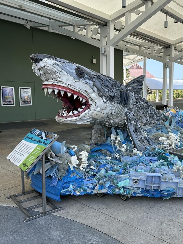 Art Exhibit Washes into Galveston with a Stark Message – Citizens ...